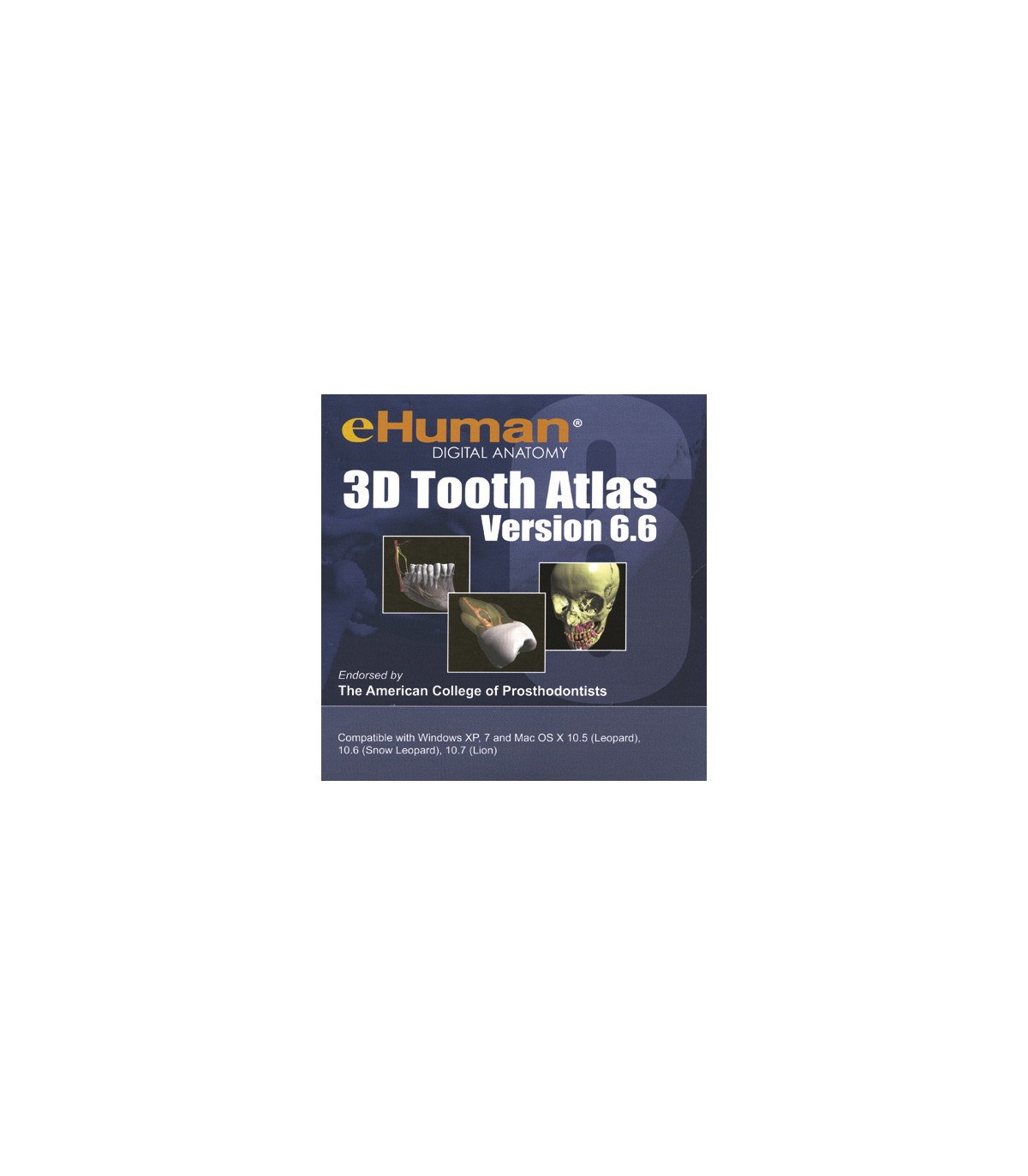 3d tooth atlas